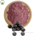 Brasil orgánico ACAI Berry Powder Benefits